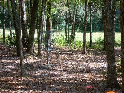 Seven Oaks, Main course, Hole 8 Putt