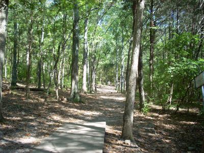 Seven Oaks, Main course, Hole 10 Tee pad