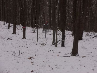 Cascade Township Park, Main course, Hole 14 Short approach