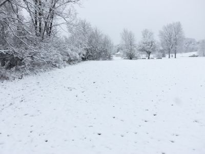 Cascade Township Park, Main course, Hole 17 Midrange approach