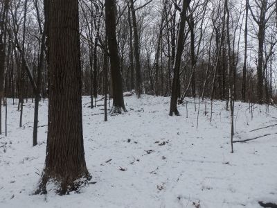 Cascade Township Park, Main course, Hole 13 Midrange approach