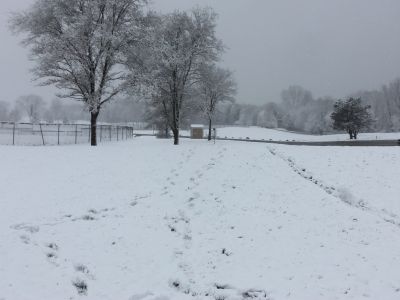 Cascade Township Park, Main course, Hole 1 Midrange approach