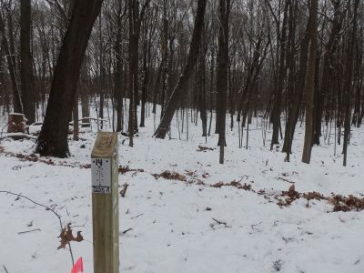 Cascade Township Park, Main course, Hole 14 Tee pad