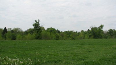 Lincoln Park, Main course, Hole 15 Tee pad