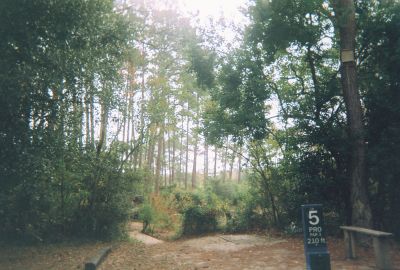 Sunset DGC, Main course, Hole 5 Long tee pad