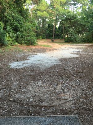 Sunset DGC, Main course, Hole 8 Short tee pad