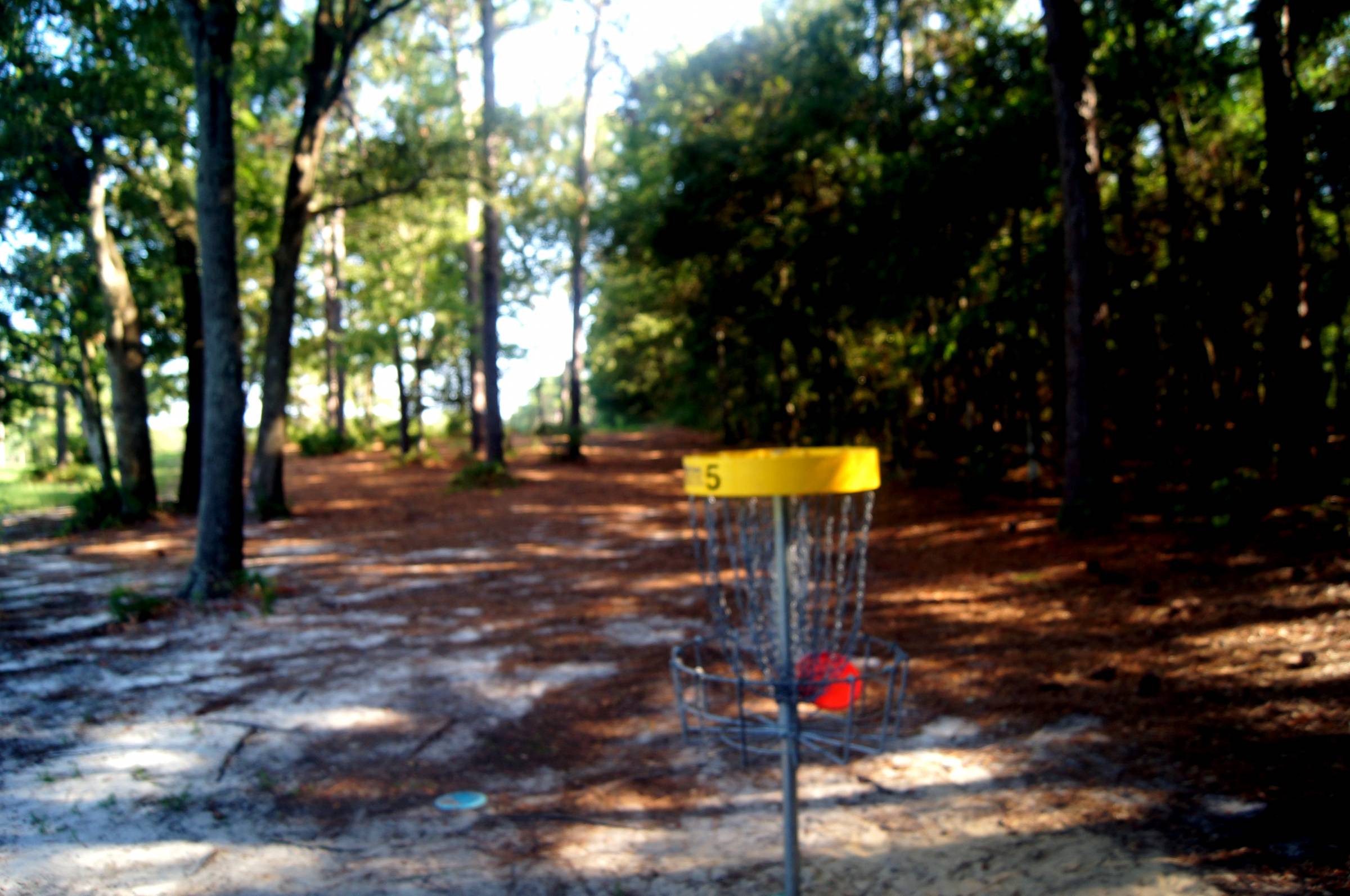 Hole 5 • Ed Austin Park (Jacksonville, FL) Disc Golf Courses Disc