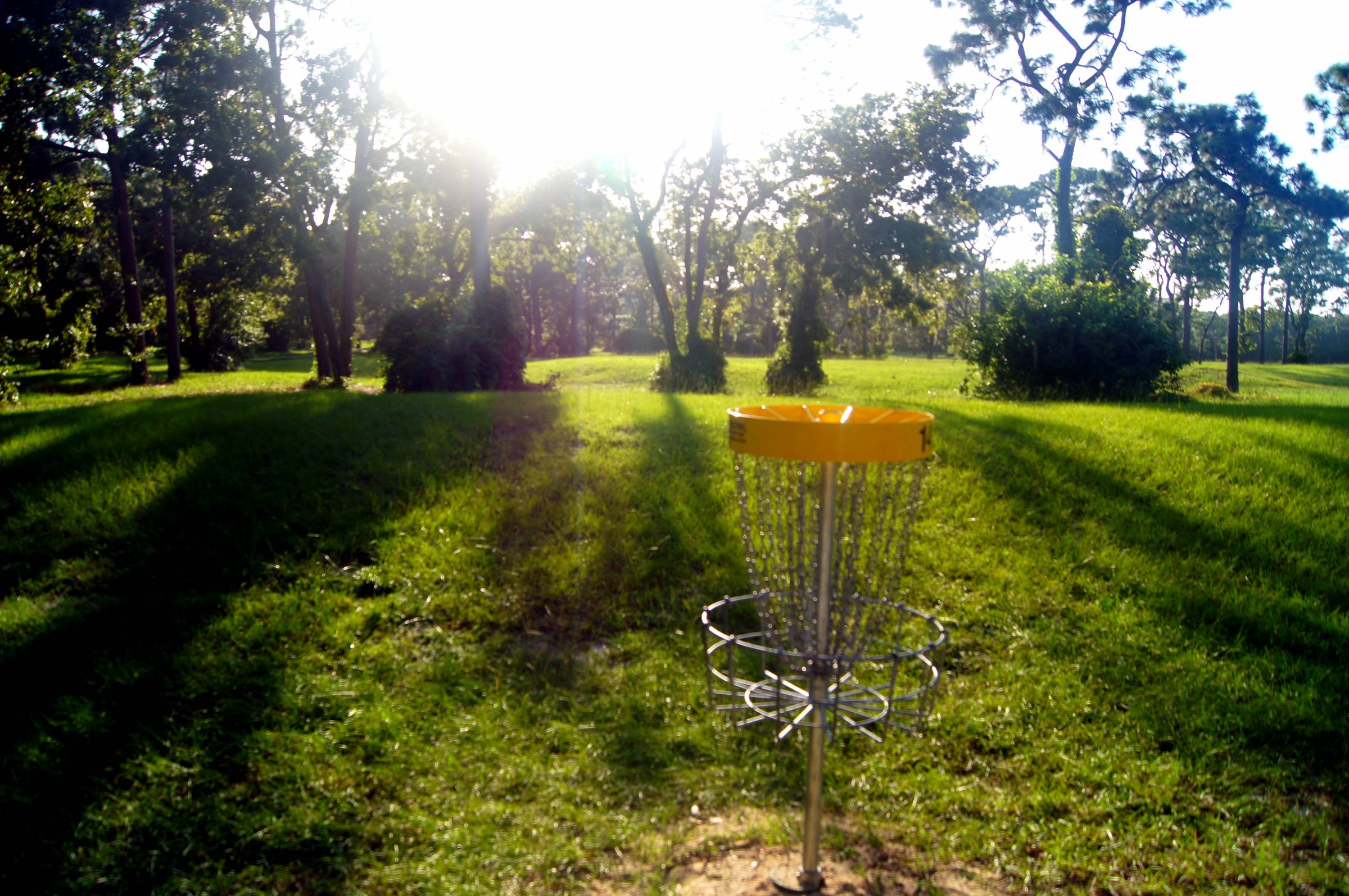 Hole 14 • Ed Austin Park (Jacksonville, FL) Disc Golf Courses Disc