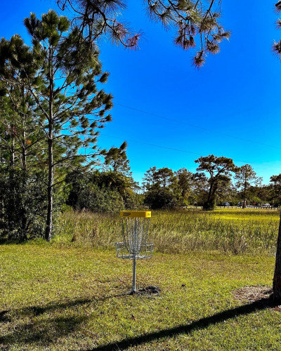 Wickham Park, Wickham Park DGC, Hole 7 Alternate pin