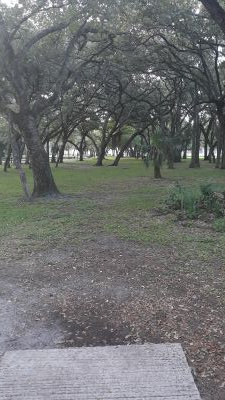 Kendall Indian Hammocks Park, East course, Hole 1 Midrange approach