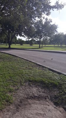 Kendall Indian Hammocks Park, East course, Hole 8 Middle tee pad