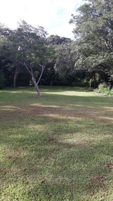 Kendall Indian Hammocks Park, East course, Hole 10 Midrange approach