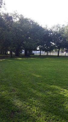 Kendall Indian Hammocks Park, East course, Hole 2 Middle tee pad