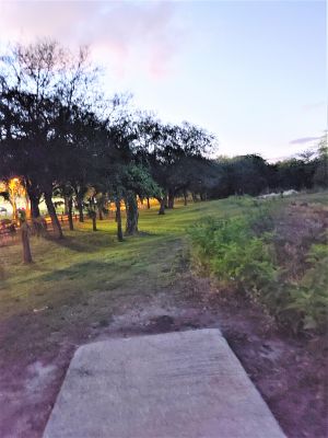 Kendall Indian Hammocks Park, East course, Hole 18 Tee pad