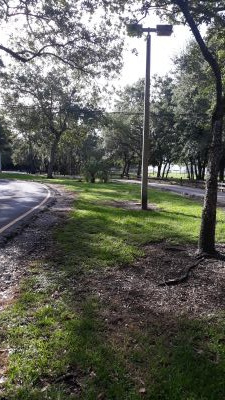 Kendall Indian Hammocks Park, East course, Hole 3 Midrange approach