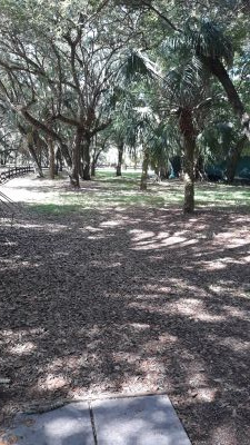 Kendall Indian Hammocks Park, West course, Hole 7 Middle tee pad