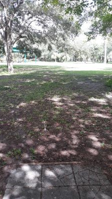 Kendall Indian Hammocks Park, West course, Hole 11 Middle tee pad