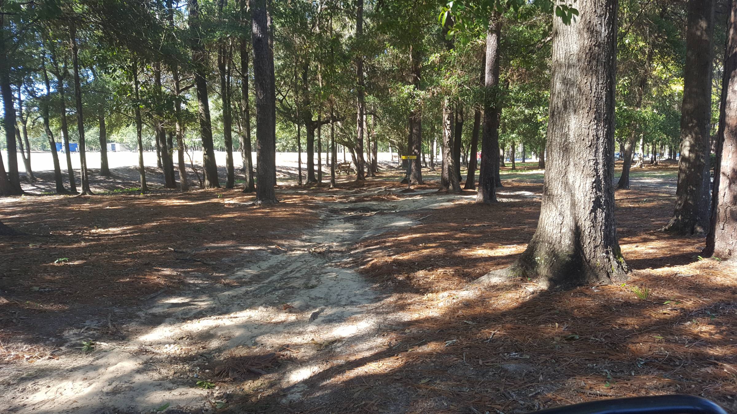 Hole 8 • University of West Florida (Pensacola, FL) Disc Golf Courses