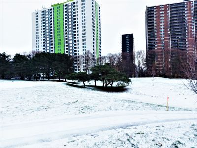 Dentonia Park, Main course, Hole 2 Midrange approach