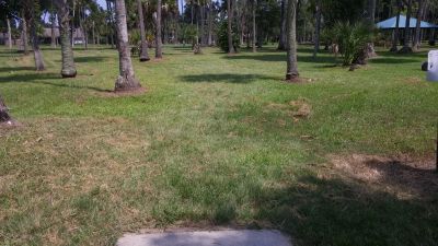 Reed Canal Park, Main course, Hole 17 Tee pad