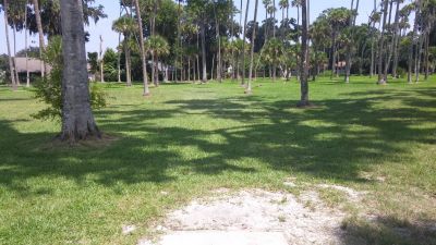 Reed Canal Park, Main course, Hole 12 Tee pad