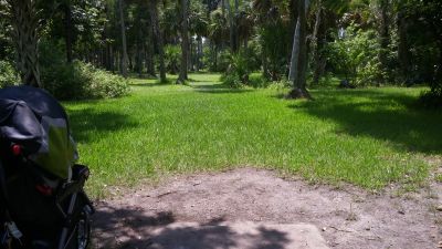 Reed Canal Park, Main course, Hole 8 Tee pad