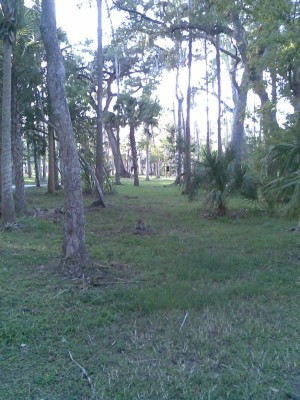 Reed Canal Park, Main course, Hole 8 Tee pad