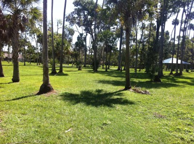 Reed Canal Park, Main course, Hole 17 Tee pad