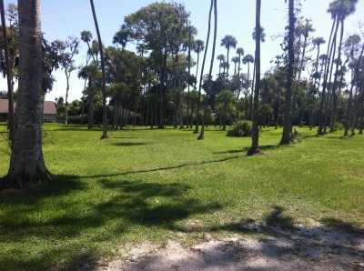 Reed Canal Park, Main course, Hole 12 Tee pad