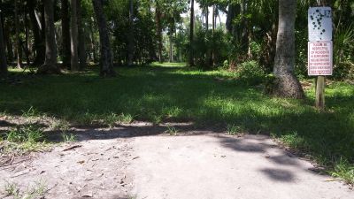 Reed Canal Park, Main course, Hole 7 Tee pad