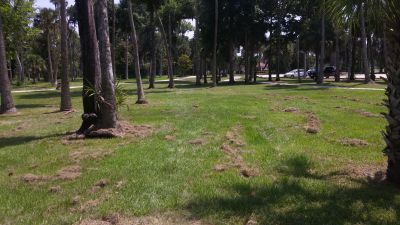 Reed Canal Park, Main course, Hole 18 Tee pad