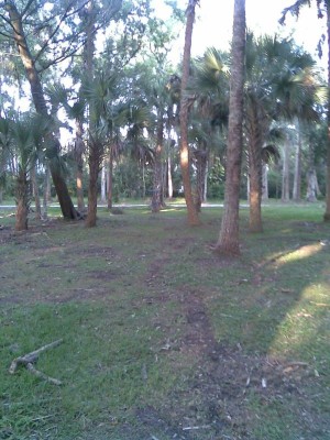 Reed Canal Park, Main course, Hole 7 Tee pad