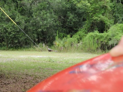 USF Riverfront Park, Main course, Hole 8 Long approach