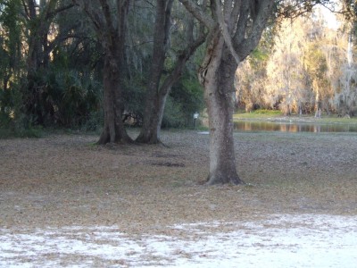 USF Riverfront Park, Main course, Hole 5 Midrange approach