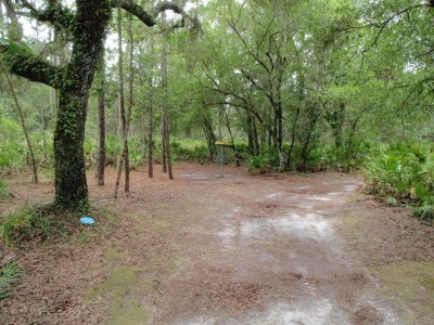 USF Riverfront Park, Main course, Hole 11 Putt