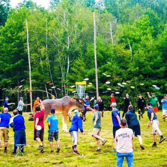 Beauty Hill Championship LFDT176 (2017, NH Disc Golf Club) · Disc Golf