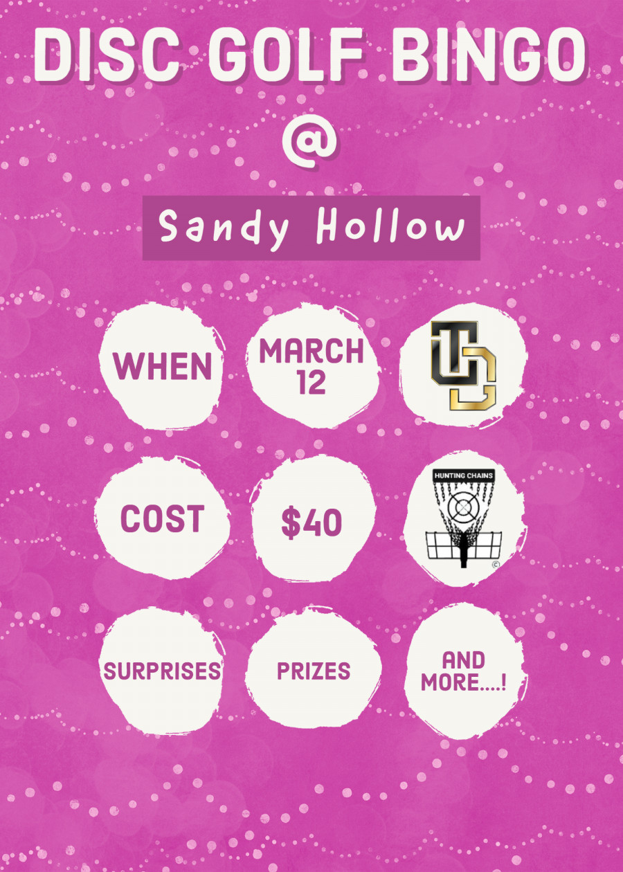 Disc Golf Bingo (2023, Top Link Disc Golf) · Disc Golf Scene