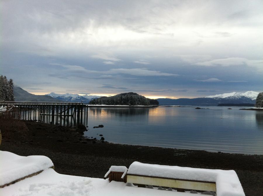 2015 Greatland Cup (2015, Juneau disc Golf association) · Disc Golf Scene