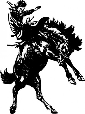 2nd Annual Broncbuster Open