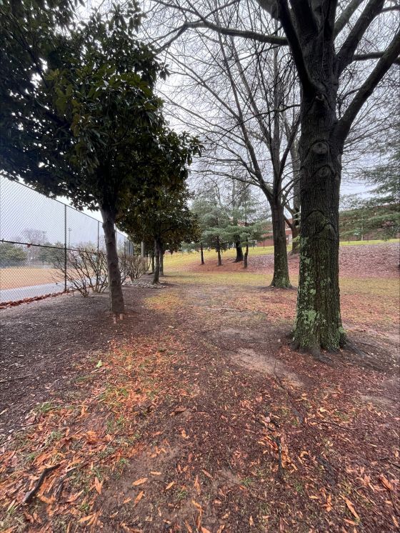 Pictures · City of Knoxville "FRIDAY NIGHT LIGHTS" Urban Disc Golf Caswell Park (2024, City of